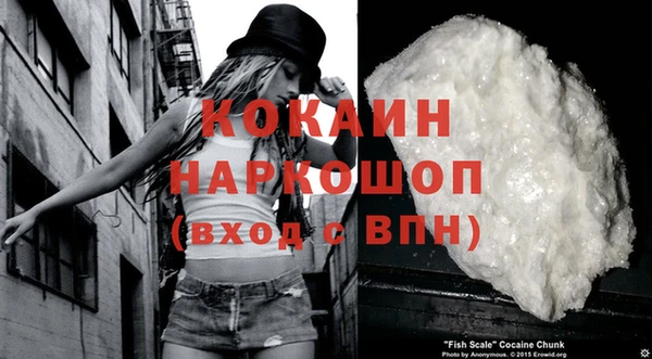 прущие крисы Надым