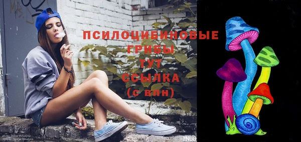 прущие крисы Надым