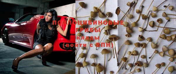 прущие крисы Надым