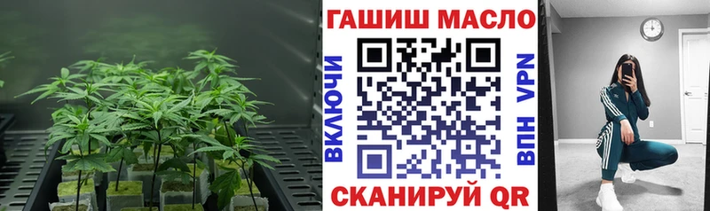 Купить закладки  Кола  Дистиллят ТГК концентрат 